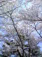 Vol025_001.jpg